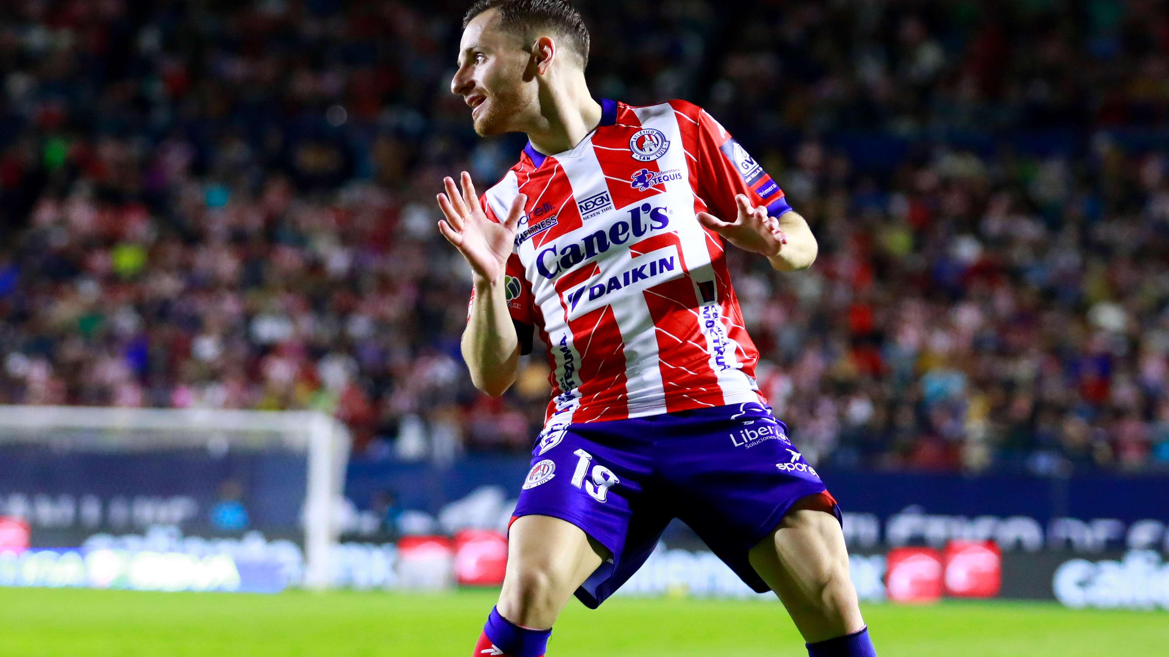 作为世界足 作为世界足